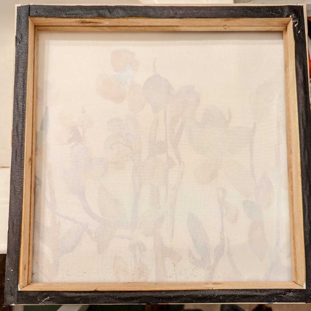 Pictures - Picture 3 of 3